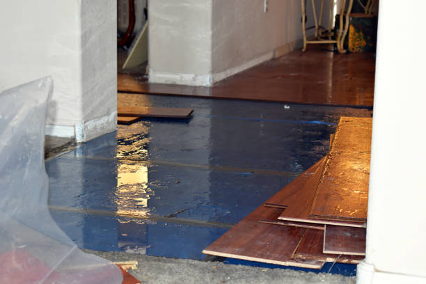 Professional Water Damage Repair technician working in East Providence, RI